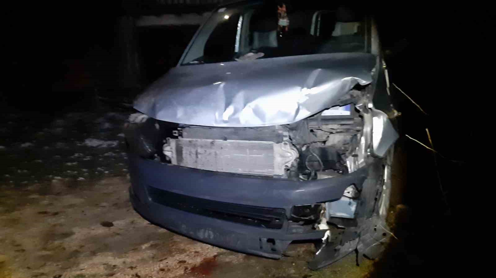 Bolu’da aracın çarptığı geyik yaralandı