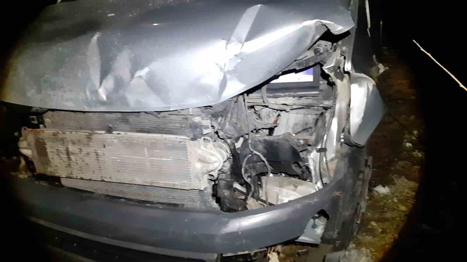 Bolu’da aracın çarptığı geyik yaralandı