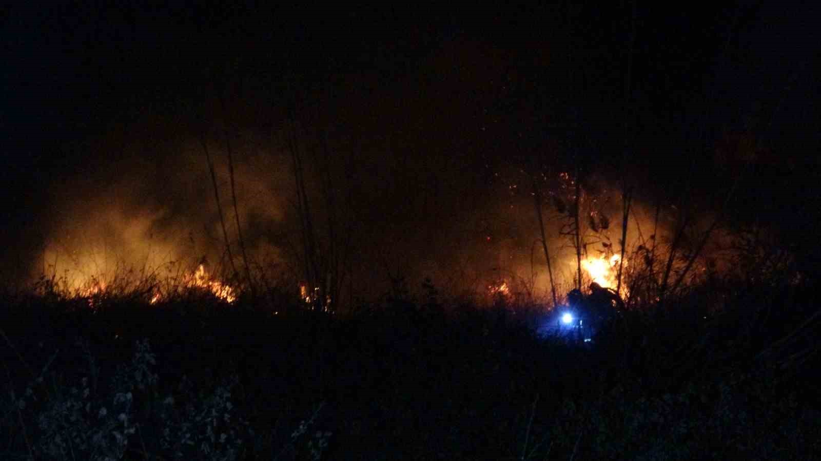 Manavgat’ta sazlık alanda yangın