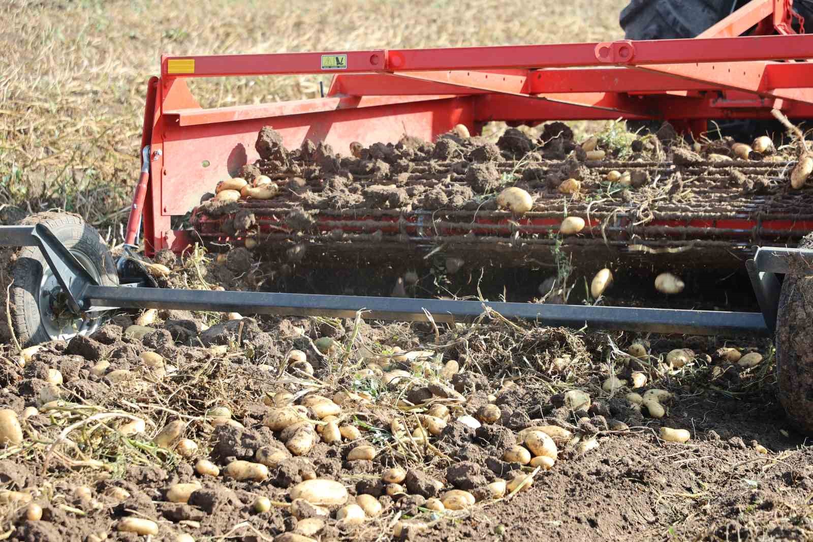 Sivas’ta patates hasadı başladı