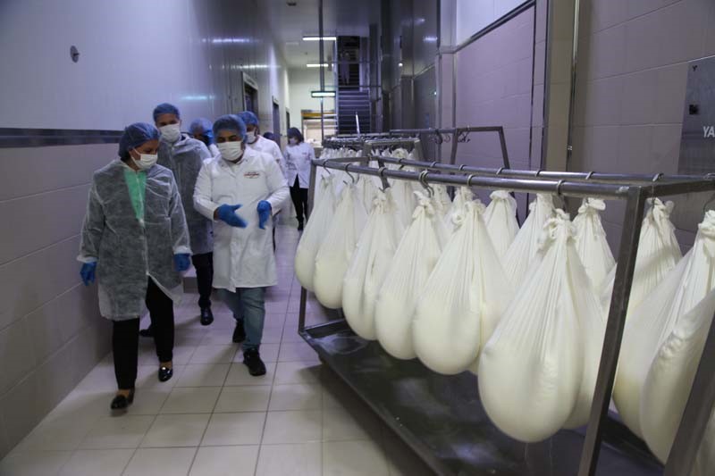 Çanakkale’de et, süt ve yumurta üreten işletmeler denetleniyor