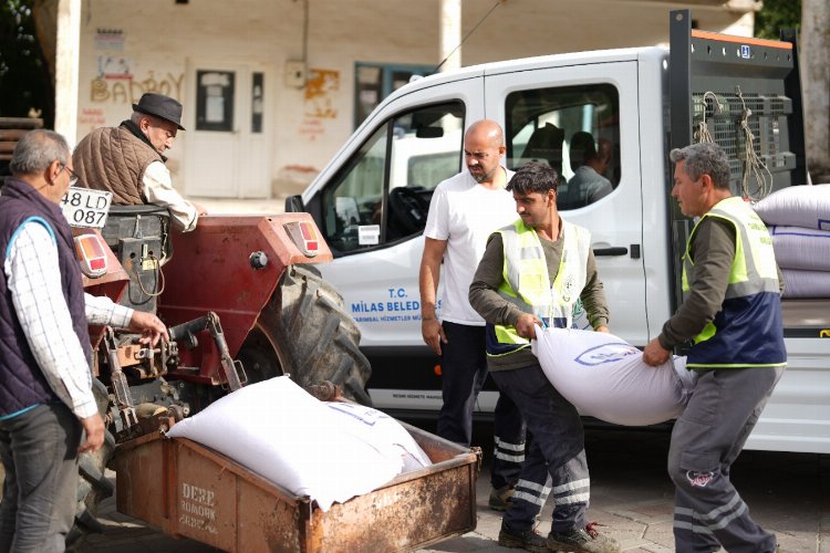 Milas’tan çiftçilere tohum desteği