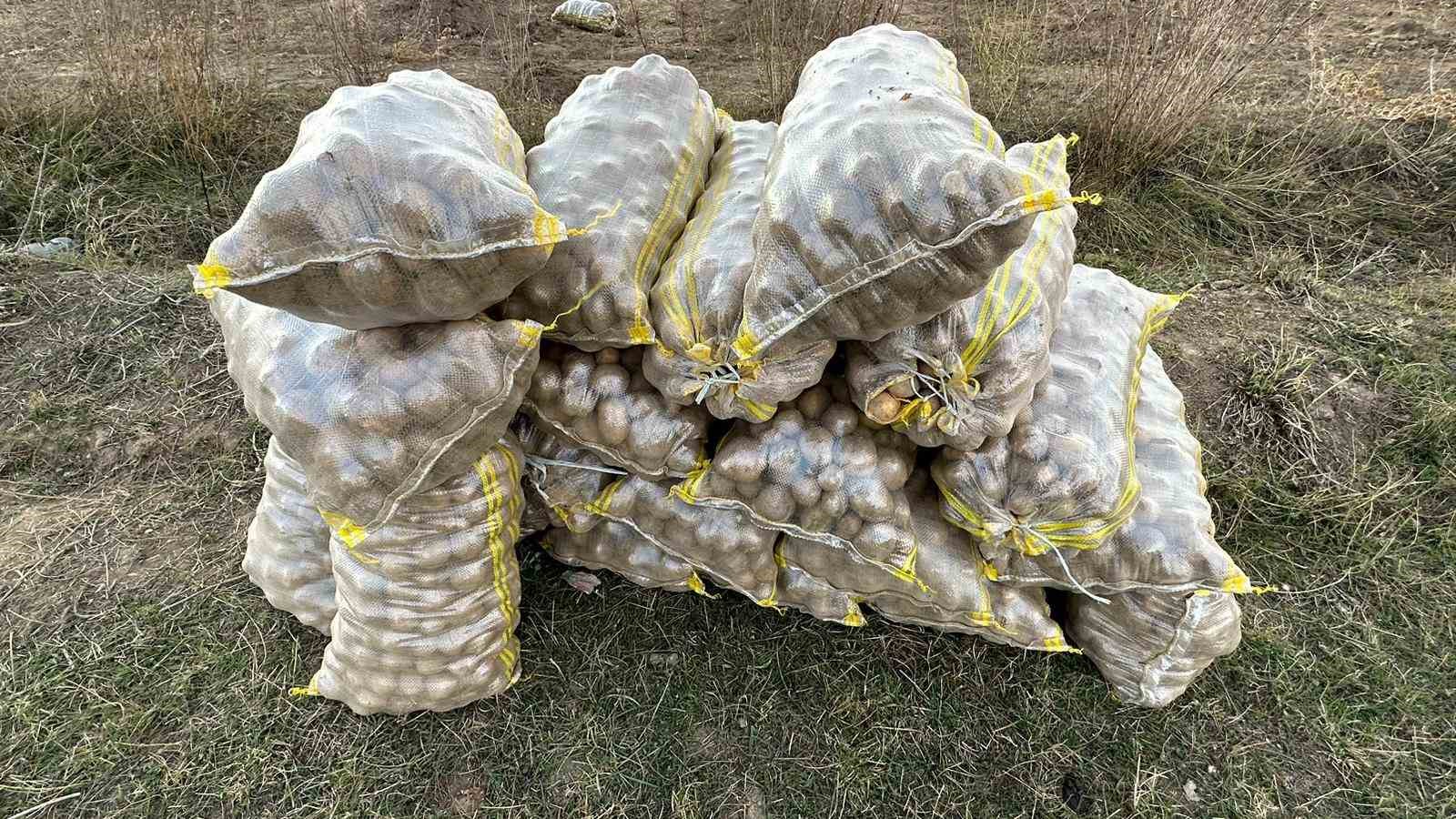 Yüksekova’nın toprağından bereket fışkırıyor: Ton ton patates elde edildi