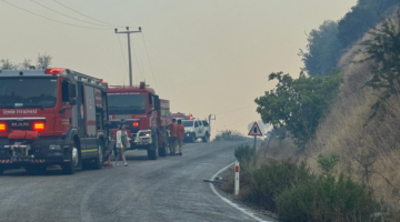 İzmir İtfaiyesi Dikili'de orman yangınına müdahale ediyor
