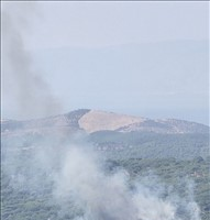 ​İzmir İtfaiyesi, Bergama yangınını kontrol altına aldı