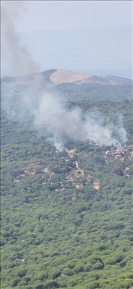 ​İzmir İtfaiyesi, Bergama yangınını kontrol altına aldı