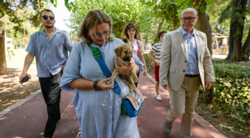 Sahipsiz Köpek Popülasyonu Yönetimi İzmir Eylem Planı hazırlandı