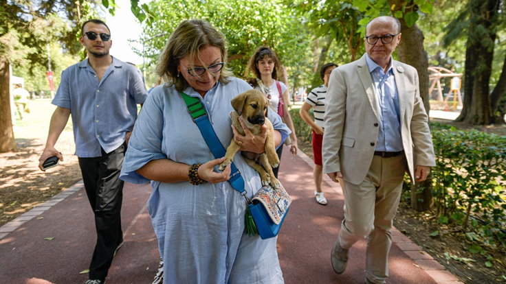 Sahipsiz Köpek Popülasyonu Yönetimi İzmir Eylem Planı hazırlandı