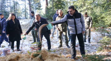 Bilecik’te yaban hayvanlarına Vali şefkati